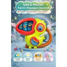 Farbu Oyuncak Montessori Eğitici Papağan 3 Farklı Modlu Hayvan Sesleri Ritim ve Nota Öğreten 13 cm Bebek Oyuncağı
