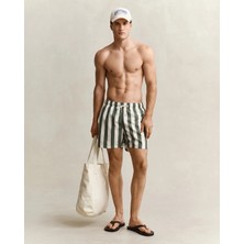 Gant Men's Green Striped Logo Swim Shorts