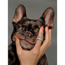 kloi Mesh Ring Gold Çelik Taşlı Statement Kadın Yüzük