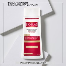 Store Sarmaşık Özlü Saç Dökülmesine Karşı Bitkisel Şampuan – Phytosterol & Bitkisel Kompleks B19, Sağlıklı Uzama Destekli, 360 ml