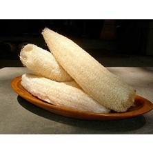 Store Lif Sünger Kabağı Tohumu (Sponge Gourd)