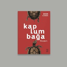 Store Kaplumbağa Ajandası 2024