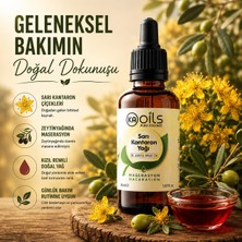 Store Kaoils Sarı Kantaron Yağı 30 ml | Zeytinyağında Masere Edilmiş | St. John’s Wort Infused Oil | Cilt Onarıcı & Yatıştırıcı Bakım | 100% Pure & Doğal Bitkisel Yağ – Katkısız & Geleneksel Üretim