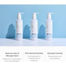 Store Roundlab 1025 Dokdo Cleansing Milk Yüz Temizleyici 200 ml
