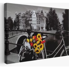Cepahir Amsterdam Kanallarındaki Bisiklet ve Laleler TABLOSU-6594