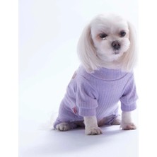 Pawstar 26905 Lila Lavender Bunny Tulum