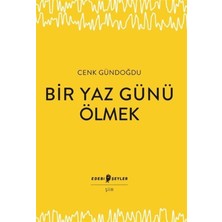 Edebi Şeyler Bir Yaz Günü Ölmek
