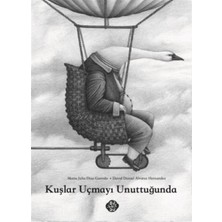 Bulutsu Yayınları Kuşlar Uçmayı Unuttuğunda