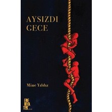 Edebiyatist Yayınevi Aysızdı Gece