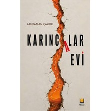 Lil Yayınları Karıncalar Evi