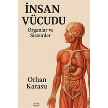 Insan Vücudu Organlar ve Sistemler