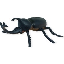 Luord-Store Böcek Figürleri - Gerçekçi Figür - Gergedan Böceği 10 cm (Lisinya)