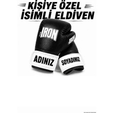 Theiron Boks, Kick Boks, Muay Thai, Mma ve Dövüş Sporları