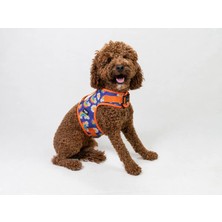 Buddy Store Rainbow Göğüs Tasması Lila