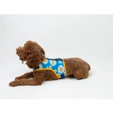 Buddy Store Daisy Blue Göğüs Tasması Mavi (Kolay Giyim)