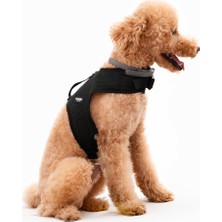 Buddy Store Aır-Mesh Bel Bağlamalı Göğüs Tasmaları (Kedi ve Köpekler Için Uygun)