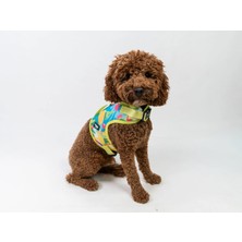 Buddy Store Tropic Göğüs Tasması Yeşil Desenli