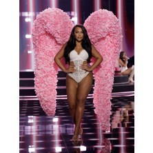 Victoria's Secret Lace Brazilian Panty