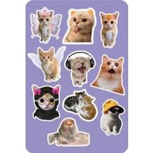 Bsb Kediler Sticker Telefon Laptop Notebook Tablet Defter Matara Stiker Etiket ST2812