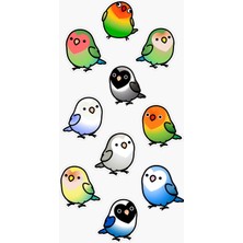 Bsb Kuşlar Sticker Telefon Laptop Notebook Tablet Defter Matara Stiker Etiket ST2838