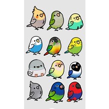 Bsb Kuşlar Sticker Telefon Laptop Notebook Tablet Defter Matara Stiker Etiket ST2809