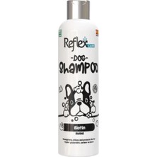Care Biotinli Köpek Şampuanı, 300ML