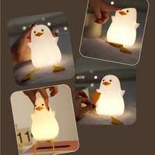 baytoptan Penguen Masa Lambası 1 Adet