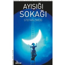 Neverelimsize Ayışığı Sokağı