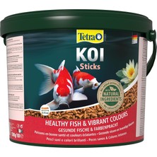 Merfi Store Pond Koi Sticks Balık Yemi, 10 Litre