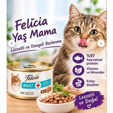 Gimcat Malt-Soft Extra 100 G + Felicia Adult 85 G Kedi Bakım Seti