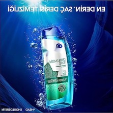 Esranın Dünyası Derinlemesine Temizlik Şampuanı - Nane 300 ml