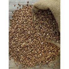 Arıcılık Karabuğday Tohumu (Greçka) 1 kg