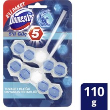 Wc Blok 5 Li Güç 100 gr Okyanus Ferahlığı