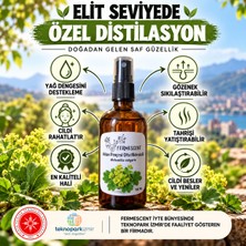 Fermescent Aslan Pençesi Otu Suyu Hidrosolü Sebum Sıkılaştırıcı Elastikiyet Destekleyici Tonik 100 ml