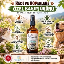 Fermescent Kedi Otu Suyu - Hidrosolü - Kedi ve Köpeklere Özel Ürün - 100  ml