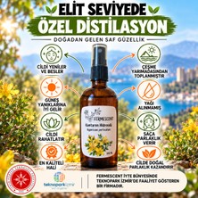 Fermescent Kantaron Suyu - Hidrosolü - Güneş Sonrası Bakım - Besler - Yeniler - Özel Ürün - 100  ml