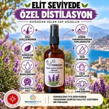 Fermescent Yabani Lavanta Karabaş Hidrosolü Suyu - Anti Aging Yaşlanma Karşıtı Cilt Nemlendirici