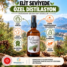 Fermescent Çam Suyu - Hidrosolü -  - Organik Yağı Alınmamış - 100 ml