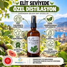 Fermescent Incir Yaprağı Suyu - Hidrosolü - Cilt Lekeleri ve - Organik Yağı Alınmamış - 100 ml