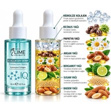 Podo Lime Kozmetik Collagen Derm IQ – Tırnak Güçlendirici Bakım Yağı 30 ml (Kırılma & Soyulma Karşıtı)