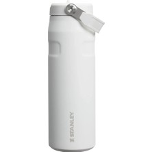Stanley The Iceflow Flip Straw Insulated Tumbler With Straw 700 ml Frost