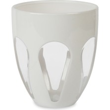 Baci Milano Aqua Bi Color Water Glass Clear