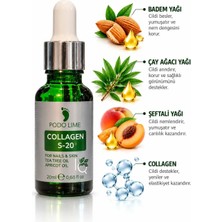 Podo Lime Kozmetik Collagen S-20 Tırnak Bakım Yağı 20ml – Yeşil Tırnak ve Mantar Karşıtı, Çay Ağacı & Kayısı Çekirdeği Yağlı, Profesyonel Formül