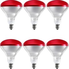 MiraLive (6 Adet) 150W Kızılötesi Isıtıcılı Hayvan Isıtma ve Kuluçka Lambası (Kırmızı Işık) E27 (Kalın Duy)