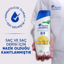 Die Grup 300 ml Limon Ferahlığı Sağlayan 2'si 1 Arada Şampuan