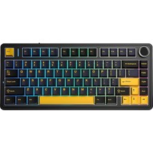 Die Grup Tr F75 Mekanik Rgb Tkl Reaper Switch Kablosuz Makrolu Hot Swap Klavye Siyah