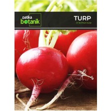Die Grup Tr 500 Adet Iri Kırmızı Turp Tohumu