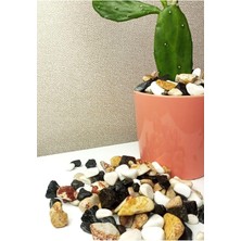 Die Grup Tr Karışık Renkli Çakıl Taşı 1-2 cm 2 kg Vazo Dibi Taşı Akvaryum Taşı Teraryum Taşı Saksı Dibi Taşı