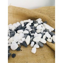 Die Grup Tr Asenya Renkli Çakıl Taşı 15 kg 1-2 cm Siyah Beyaz Saksı Dibi Taşı Teraryum Vazo Dibi Dekoratif Dolomit Taş