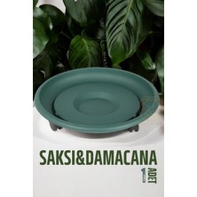 Die Grup Tr Tekerlekli Saksı Altığı 37 cm Yeşil, 7430000721051